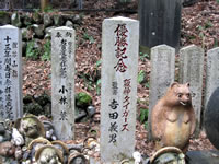 阪神タイガースの元吉田義男監督や元小林繁投手の石碑が建っています。