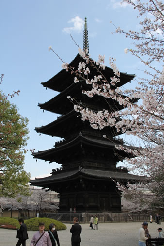 五重塔（高さ54.8mは日本最高の塔で国宝）