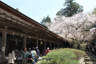 世界遺産にも登録されている「吉野水分神社」本殿は3殿を1棟とした珍しい建築。