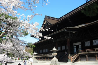 本堂は、奈良東大寺の大仏殿、京都の三十三間堂に次ぐ規模があり国宝に指定されています。