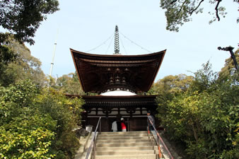 源頼朝の寄進で建久5年 (1194) に建立された日本最古の多宝塔。