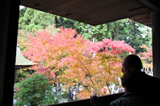本堂の窓越しに美しい紅葉が…