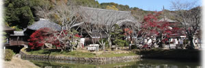 根来寺の紅葉 根来寺の紅葉