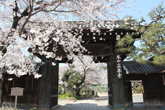 七本松通りに面した立本寺の「山門」は、安永7（1771）年に建てられたものです。「大型の高麗門」