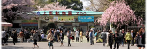 上野恩賜公園 上野恩賜公園