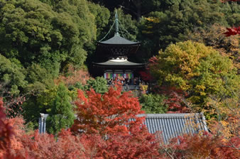 多宝塔（境内の最も高い位置にあって京都の町並みが一望できる。）
