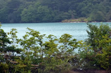 �V�C�ɂ���āA�Ζʂ̐F���G�������h�O���[���ɕς��B