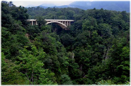 �q���u��[�򋴁v