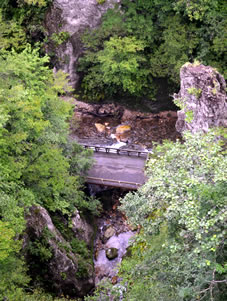 �쉈���ɖ�2.5km�̎U��������̒��߂͂܂��ɐ�i�ł��B