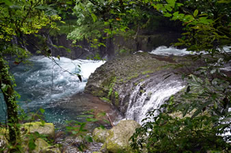  阿蘇山からの伏流水が湧き出 した渓流が織り成す様々な瀬・滝・渕は絶景。