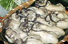 �ہX�ƂՂ�Ղ�ɑ傫���Ȃ������y�B