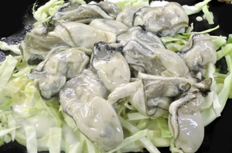 �R����̐�؂�L���x�c�ƃJ�L�������Ղ�̂��āA�A�c�A�c�̓S�ŏĂ��グ�܂��B