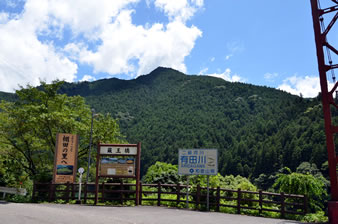 �Ԃ��݂苴�u�������v�̊ŔB