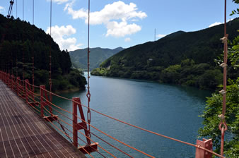 �݂苴����̒��]�͑f���炵���B