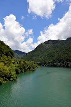 �R�̗΂ƃ_���΂̃G�������h�O���[���ɋP�����������ʂ��f�G�ł��B