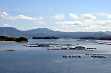 �S�ĕ����́A�I�[�V�����r���[�ł��B��������̒��]�B