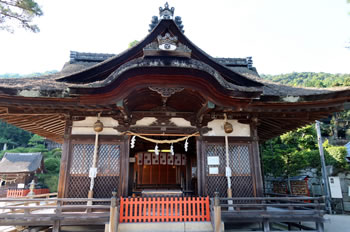 白鬚神社本殿は国の重要文化財（昭和13年指定）です。豊臣秀吉の遺命を受け、秀頼公の寄進により慶長８年（1603年）に建立。