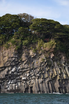 雄島の地中でゆっくり冷えた溶岩が海の波で削られて造られた柱状節理です。