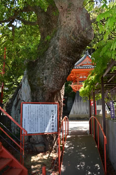 IO䎛̏