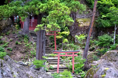 ���V�勫�̒����Ɉ�׎Ђ����J�肵�Ă��܂��B