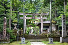 ��{���R�_��