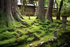 �ߒJ���ɗ��뉀