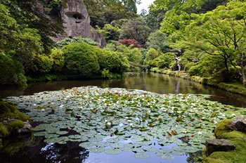 ��r�̃X�C����