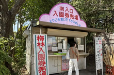 綾部山梅林、大人:500円。 綾部山梅林、大人:500円。