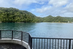 部屋からの眺望 部屋からの眺望