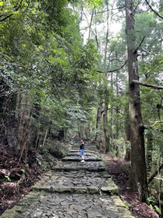 那智山へ続く約600〜650mの石畳と約267段の石段からなる参詣道です。 那智山へ続く約600〜650mの石畳と約267段の石段からなる参詣道です。
