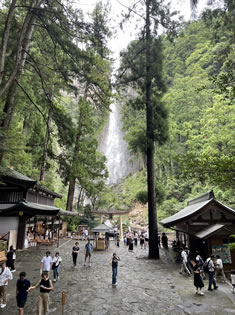 飛瀧神社境内 飛瀧神社境内