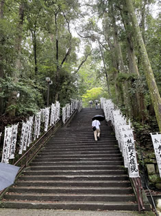 鳥居をくぐり、杉木立のなかの158段の石段。 鳥居をくぐり、杉木立のなかの158段の石段。