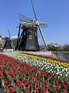 �`���[���b�v���ƕ��ԁB