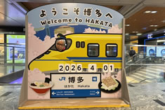 �V�����@�����w����