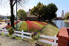 ��ʂɍL����`���[���b�v���B