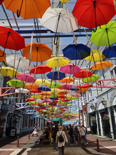 700�{�̃J���t���ȎP������ꂽ����130m�قǑ������B