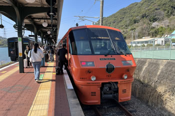 ���}�n�E�X�e���{�X���B