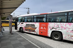 ��ɕ{�w���甎���o�X�^�[�~�i���s�u���S�o�X�v