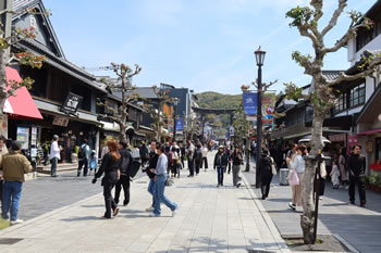 ��ɕ{�w����̎Q��