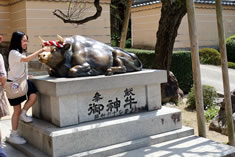 ��_���i�����񂬂イ�j�Ƃ�. ���ɕ{�V���{�̋������J��ꂽ�狍���̂��Ƃł��B