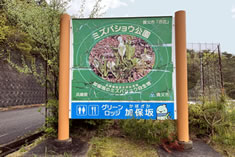 ミズバショウ公園の入口 ミズバショウ公園の入口
